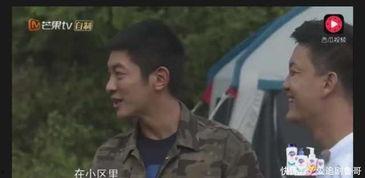 嗯哼爆料挨打视频,真相与争议 第3张 嗯哼爆料挨打视频,真相与争议 第3张